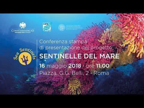 Conferenza stampa presentazione progetto "Sentinelle del mare" 